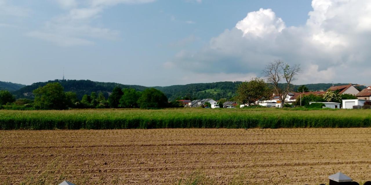 Ferienwohnung In Grenzach מראה חיצוני תמונה